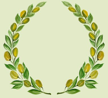 olive branches